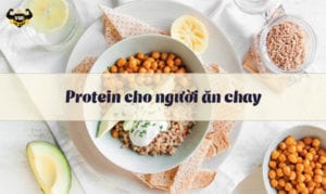 Protein cho người ăn chay-vuacobap.com