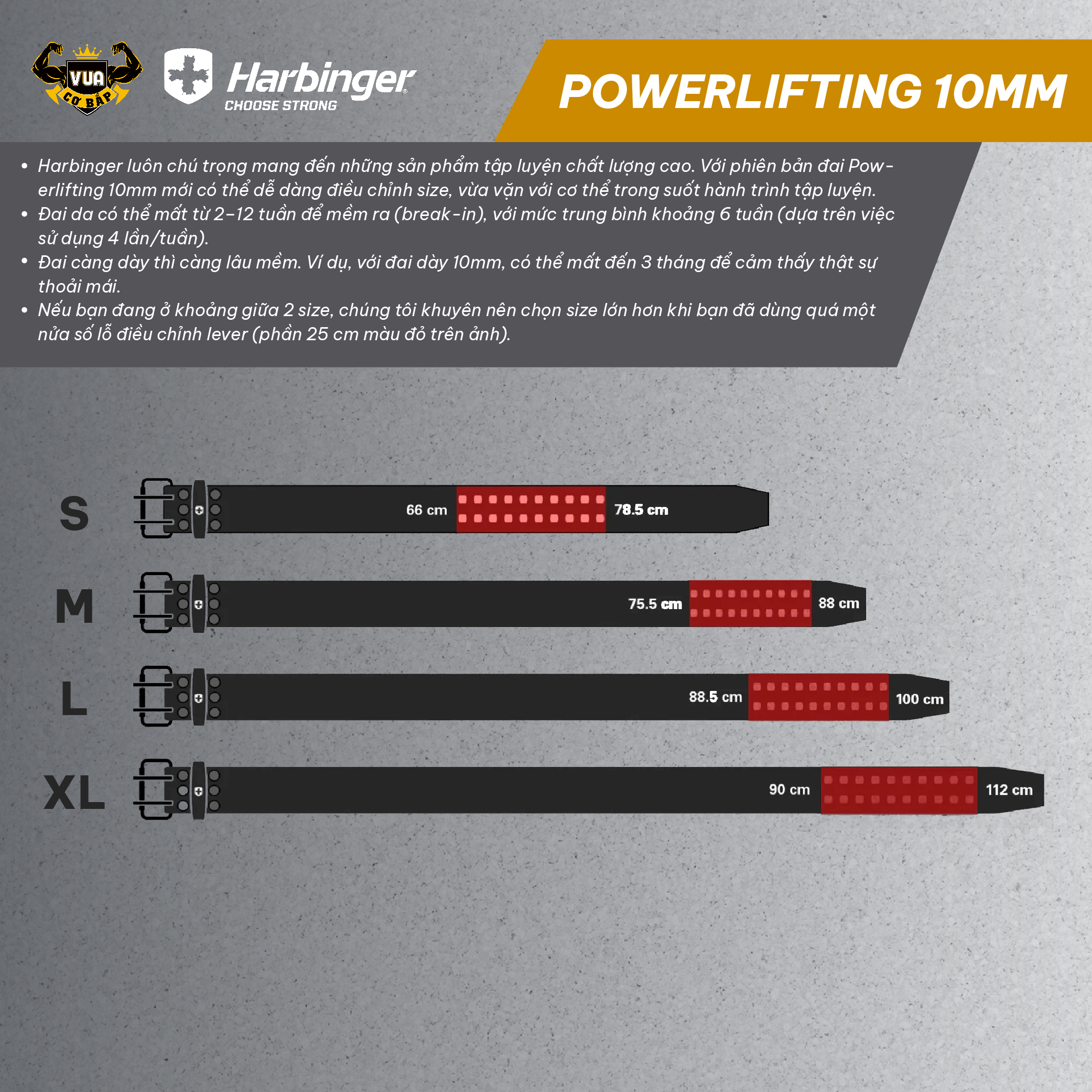 Đai Lưng Tập Gym Harbinger Powerlifting Belt 10MM Black